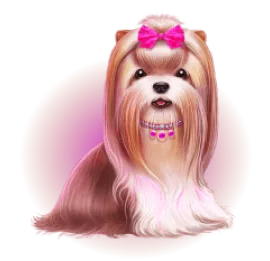 Символ Йорк